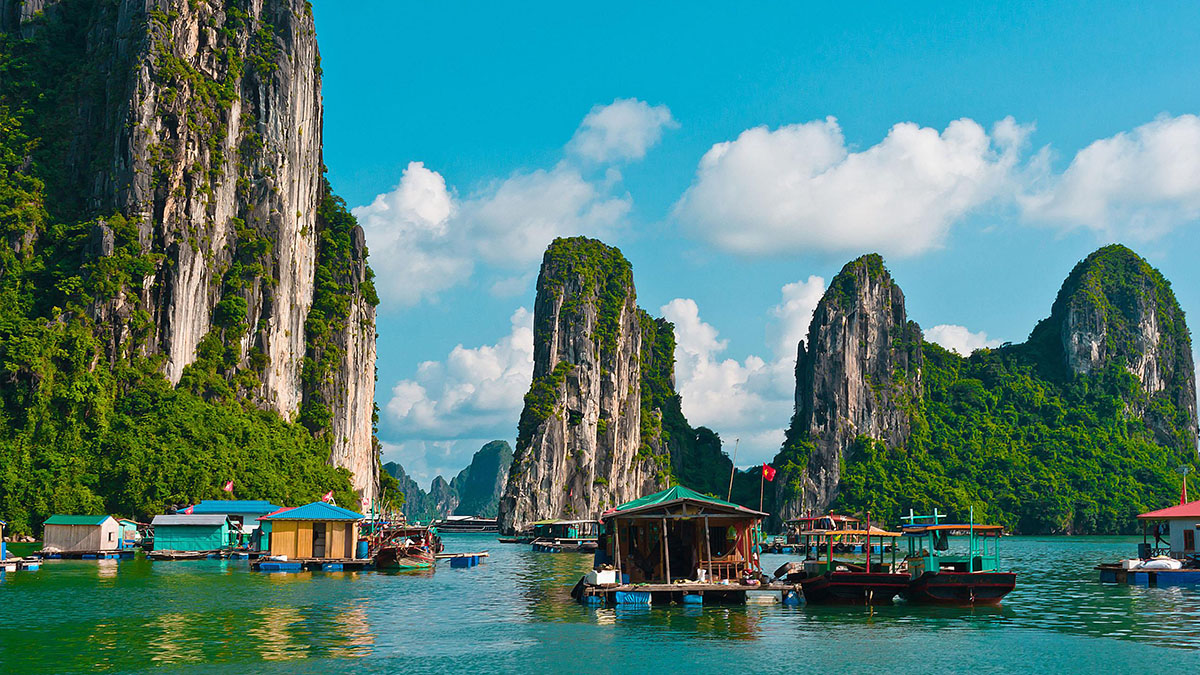 halong-5