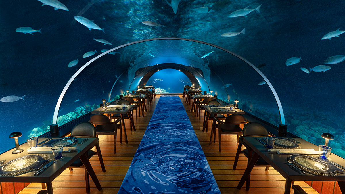 maldives-underwater-2