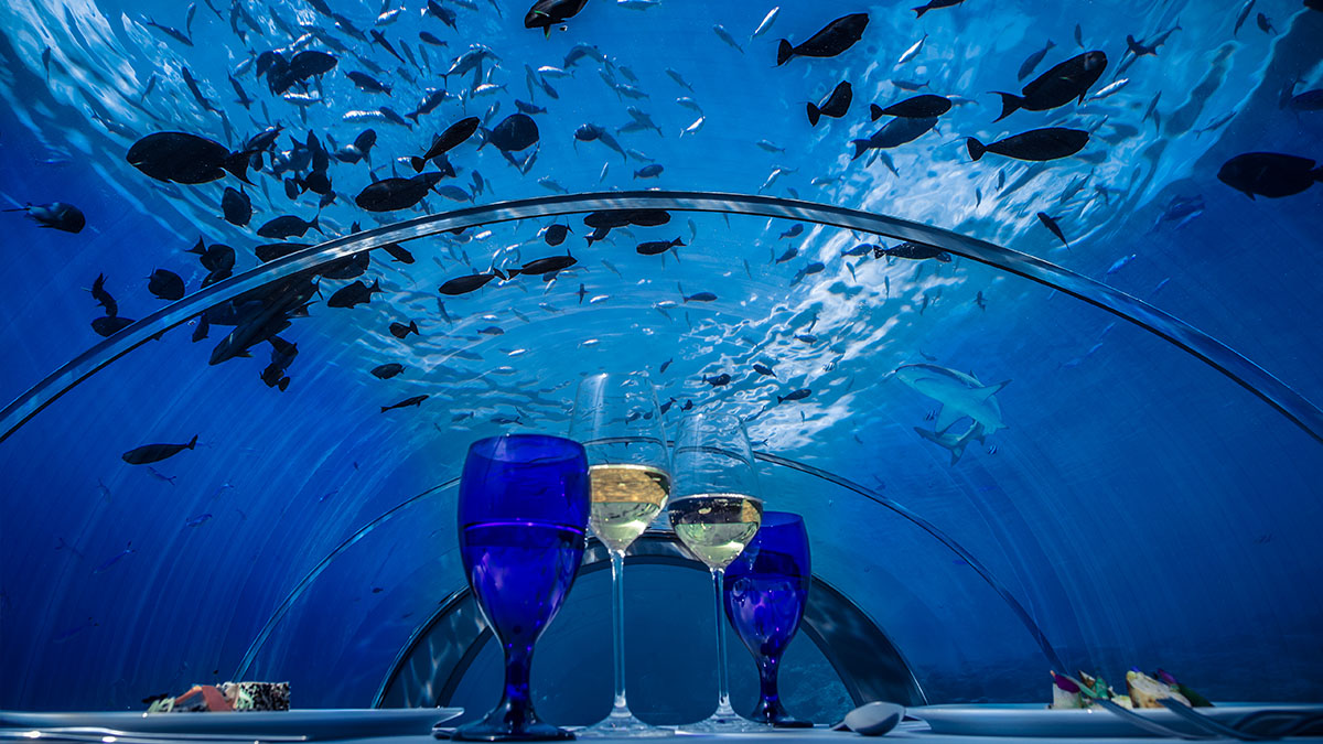 maldives-underwater-3