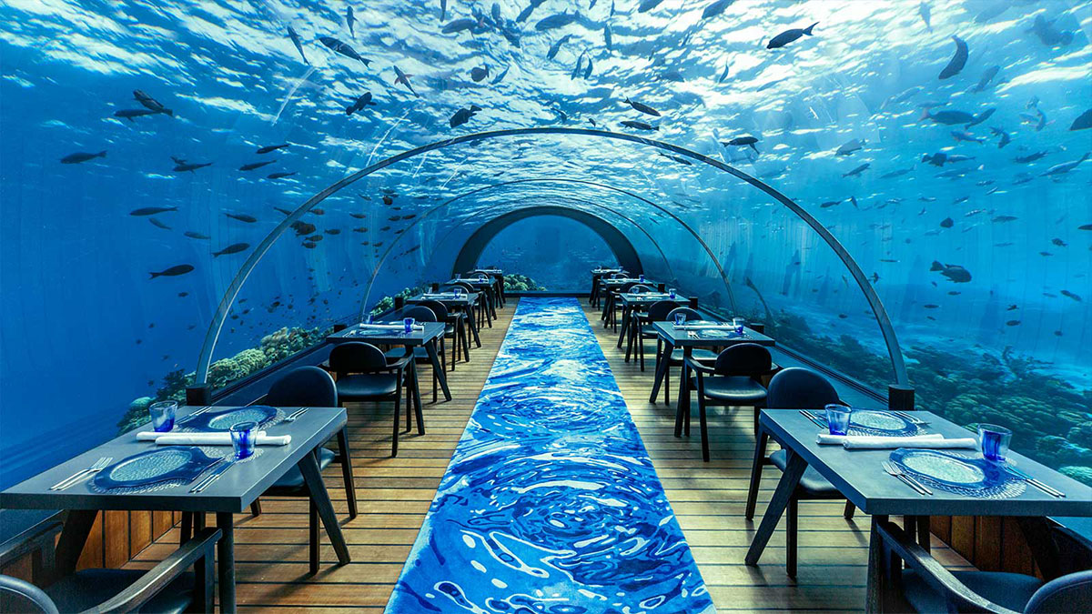maldives-underwater-4